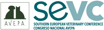 SEVC | SPONSORS