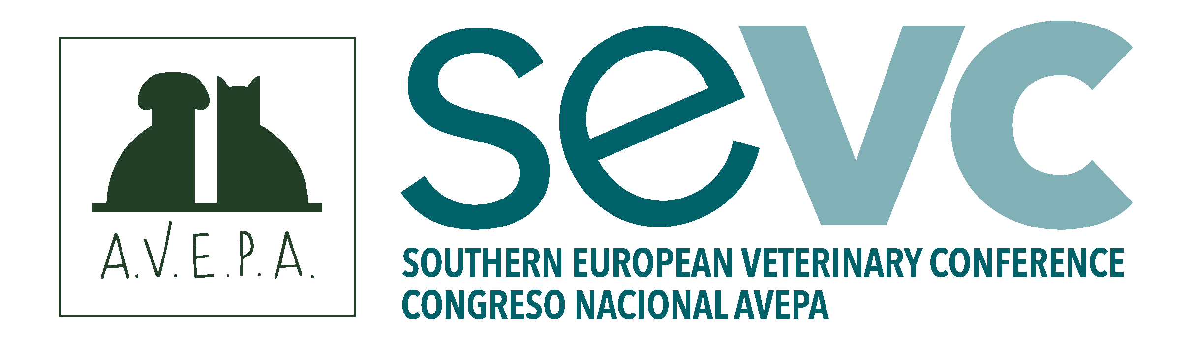 SEVC | SPONSORS